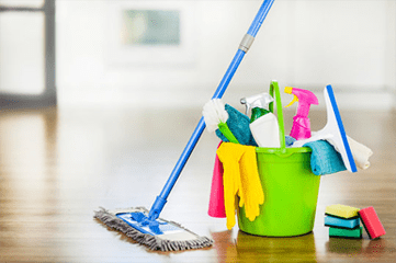 Green Eco Friendly Cleaning