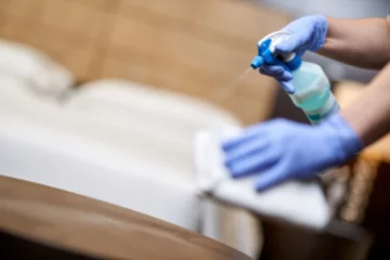 Home Cleaning Services